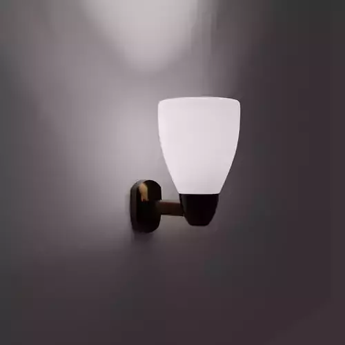 Wall Lamp with IES