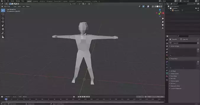 LowPoly Model human