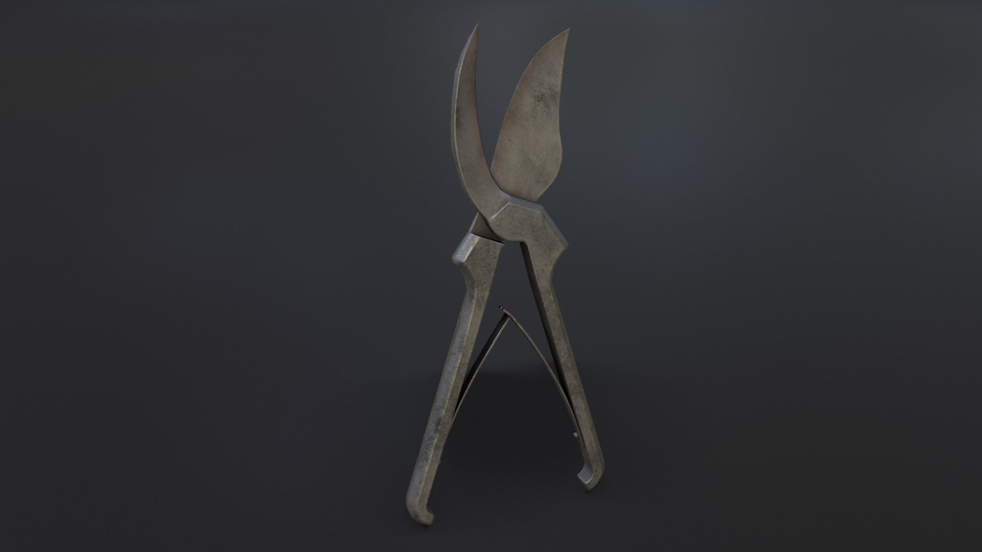 Old Dirty Bone Cutter Low-poly 3D model_18