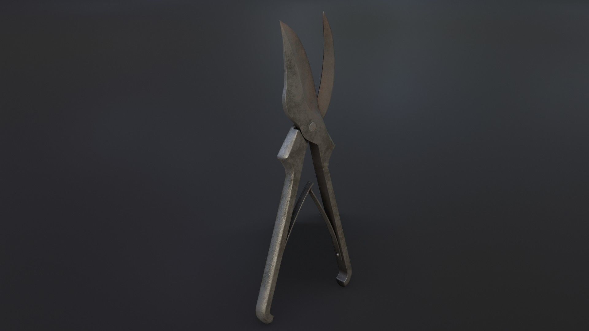 Old Dirty Bone Cutter Low-poly 3D model_33