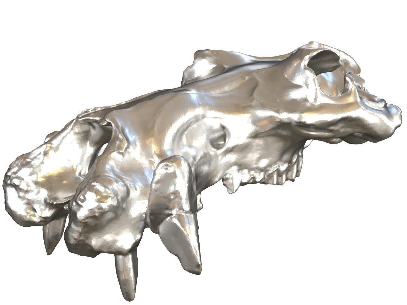 Cranium Charm Hippo 3D print model_6