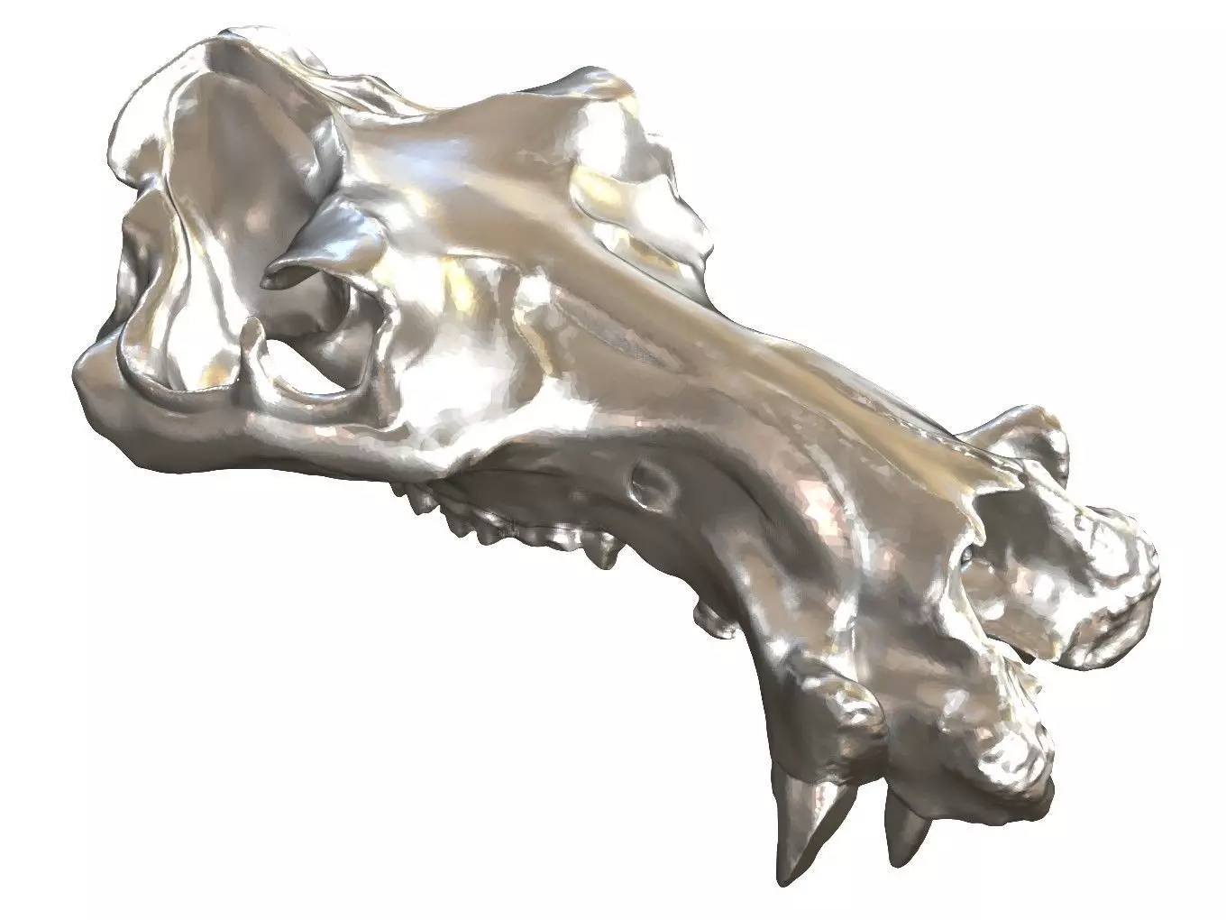 Cranium Charm Hippo 3D print model_0