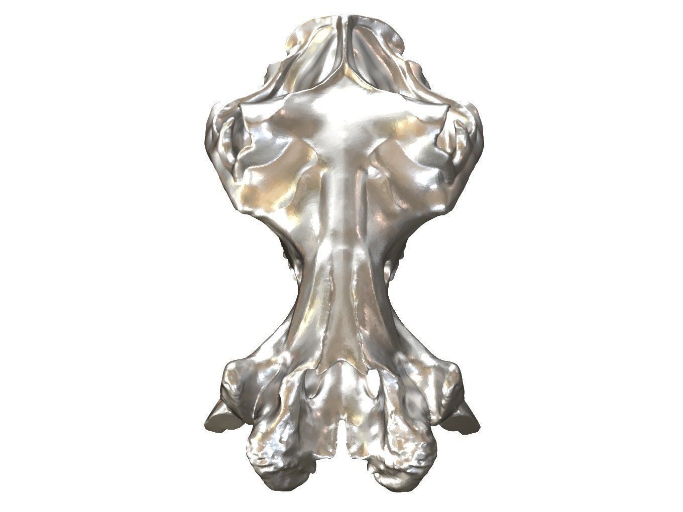 Cranium Charm Hippo 3D print model_8