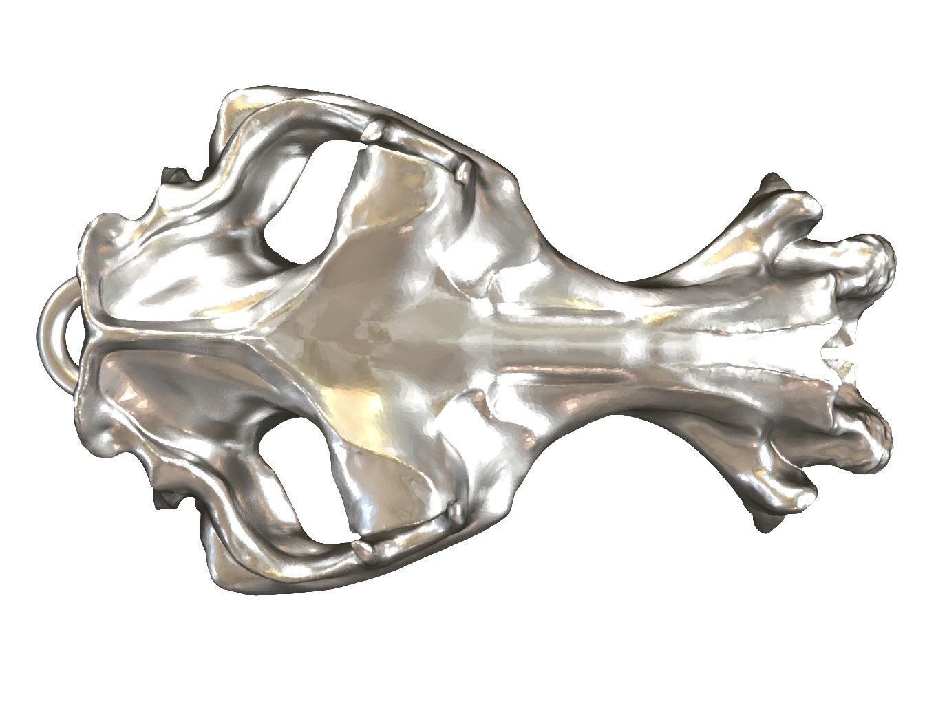 Cranium Charm Hippo 3D print model_1