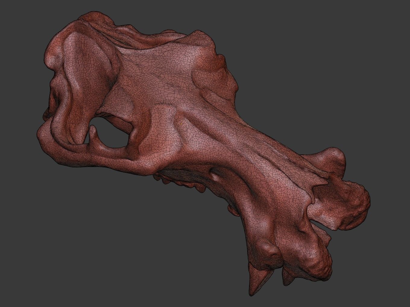 Cranium Charm Hippo 3D print model_13