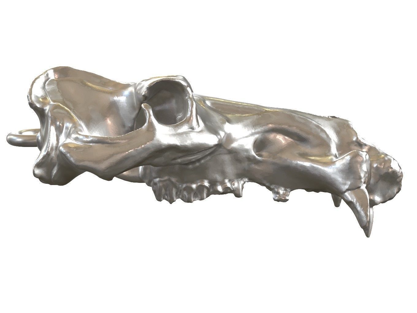 Cranium Charm Hippo 3D print model_2