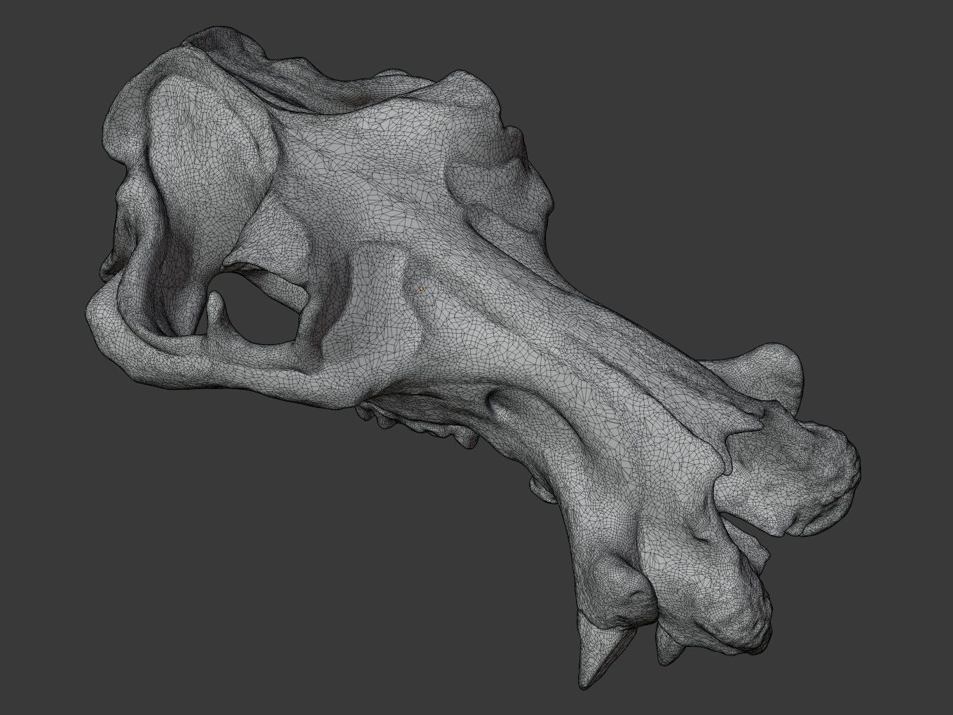 Cranium Charm Hippo 3D print model_12