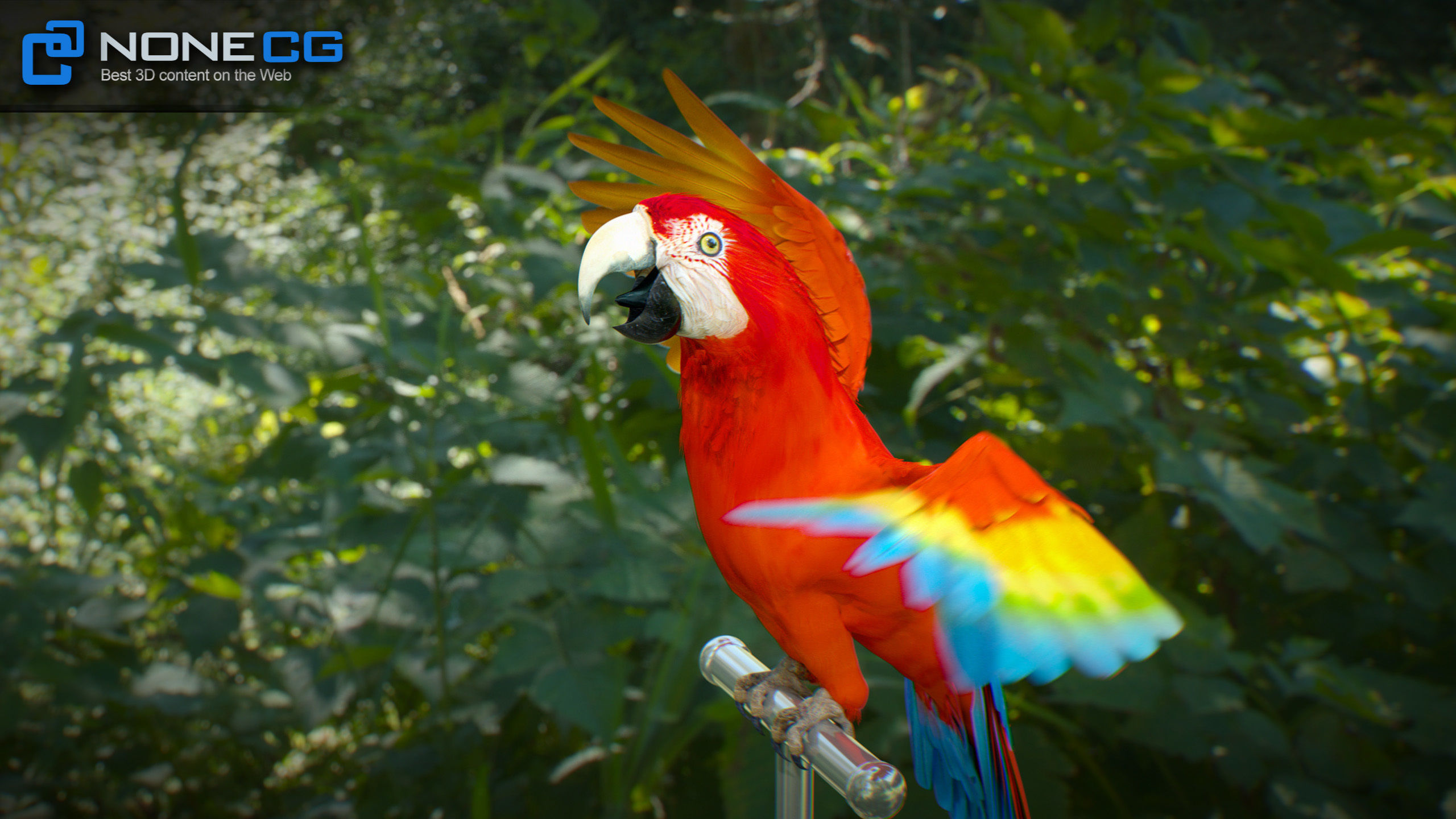 Animated Red Parrot 3D model_17