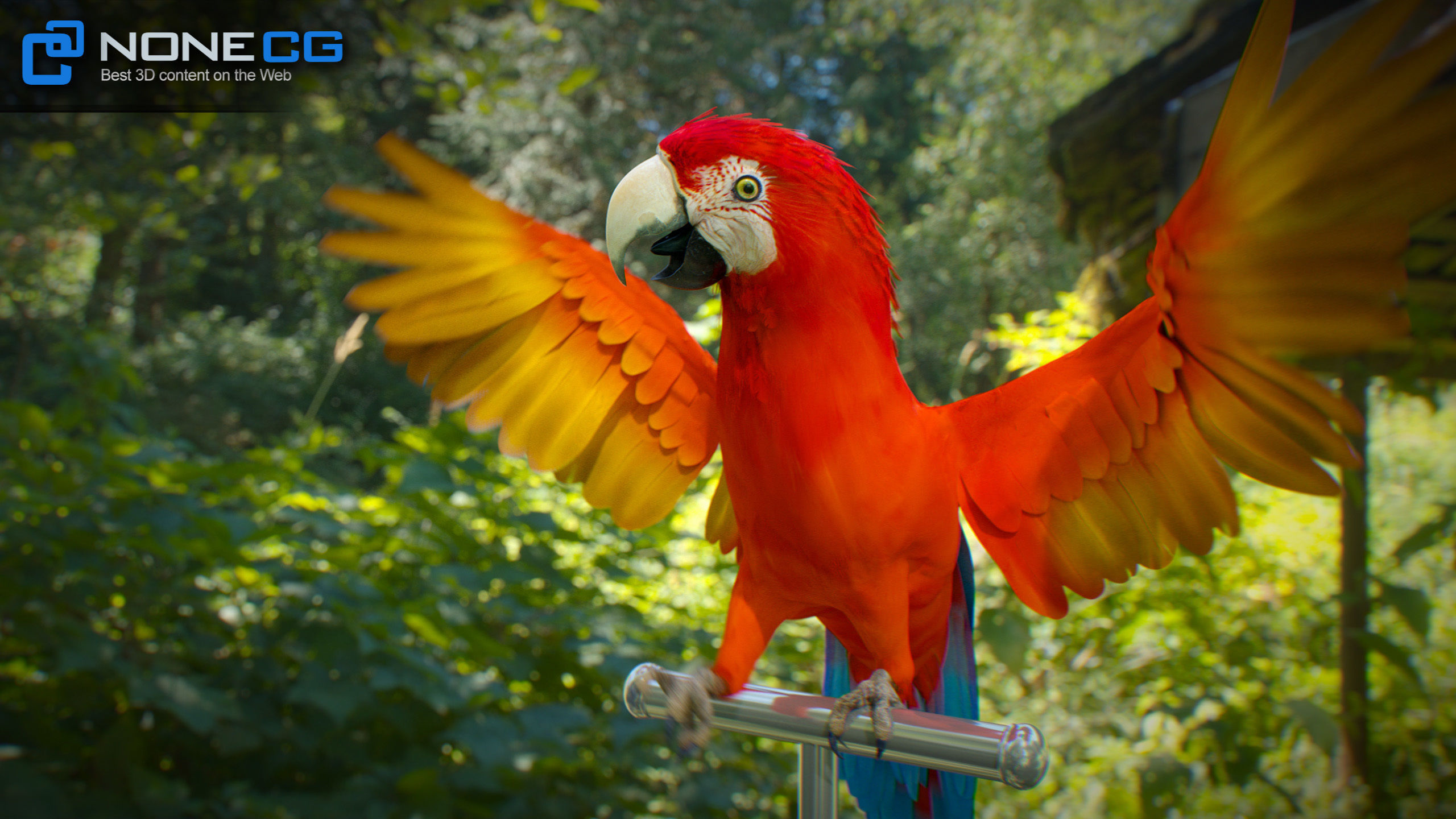 Animated Red Parrot 3D model_15