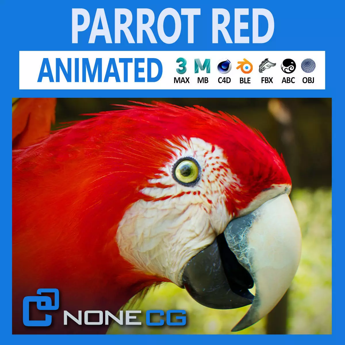 Animated Red Parrot 3D model_0