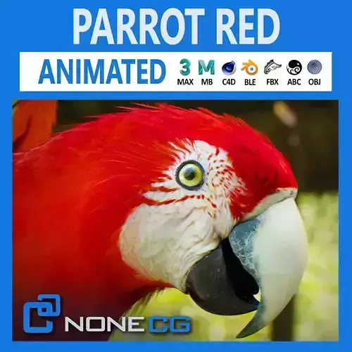 Animated Red Parrot 3D model