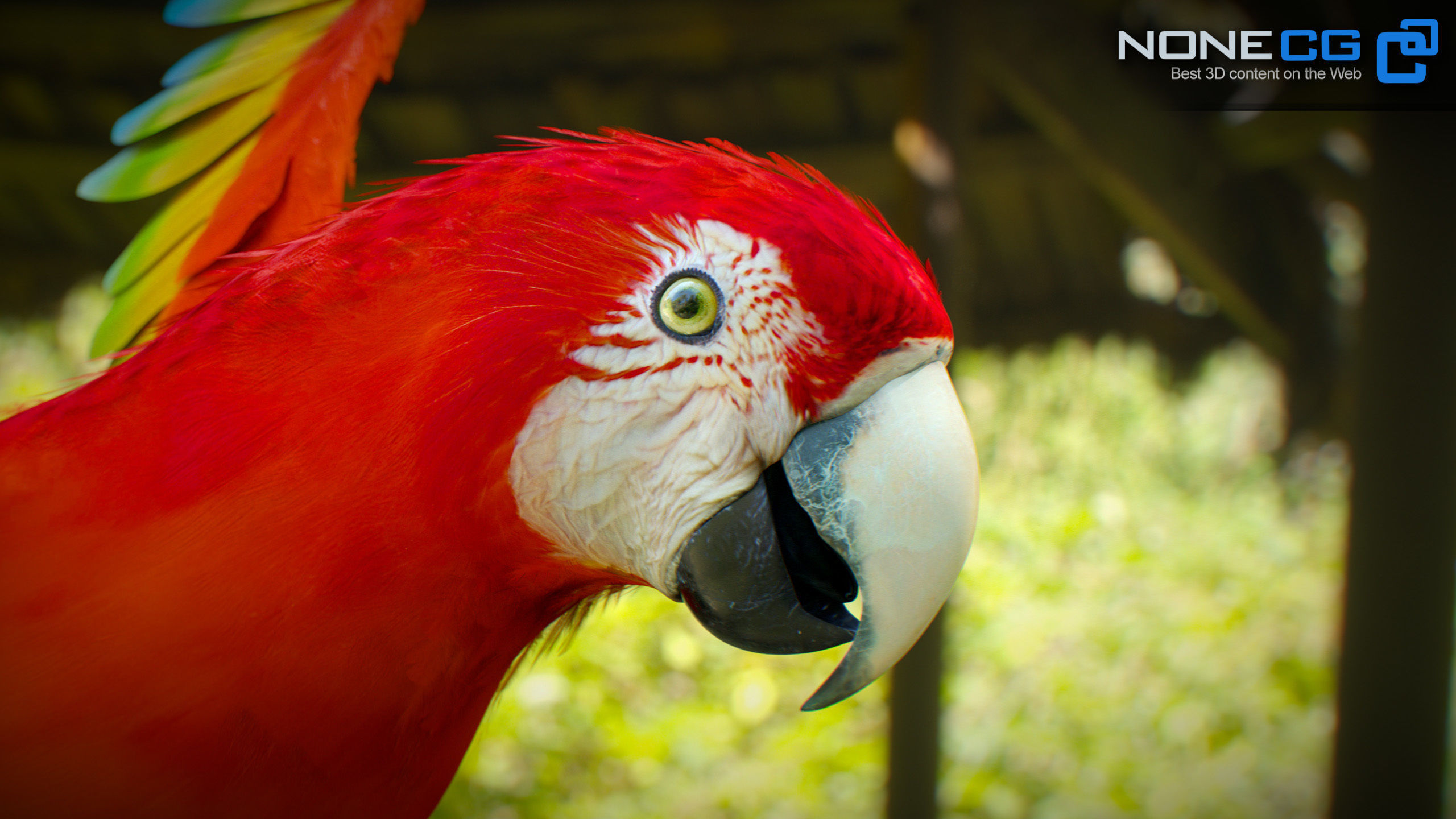 Animated Red Parrot 3D model_3