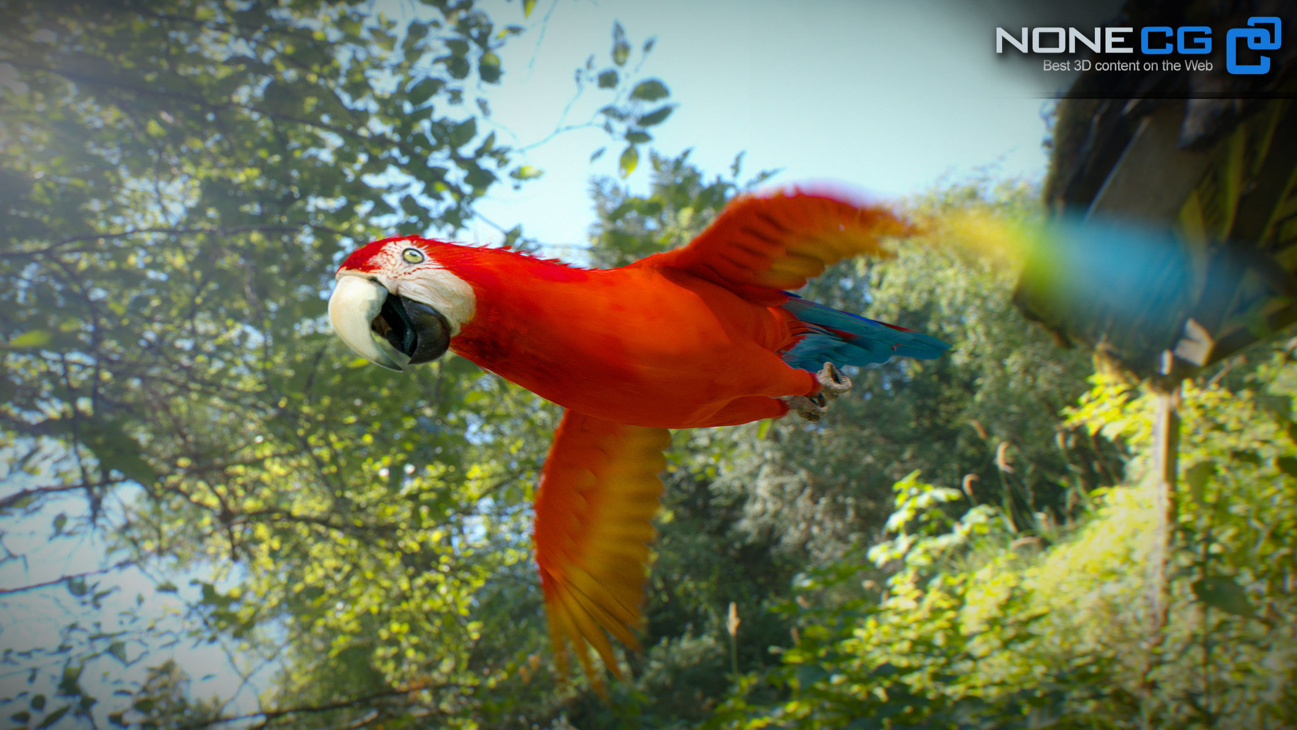 Animated Red Parrot 3D model_20