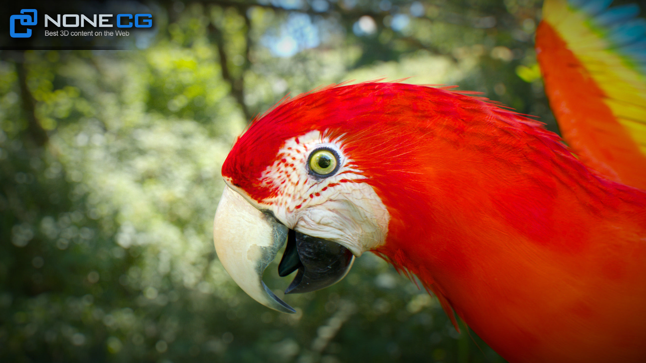 Animated Red Parrot 3D model_2
