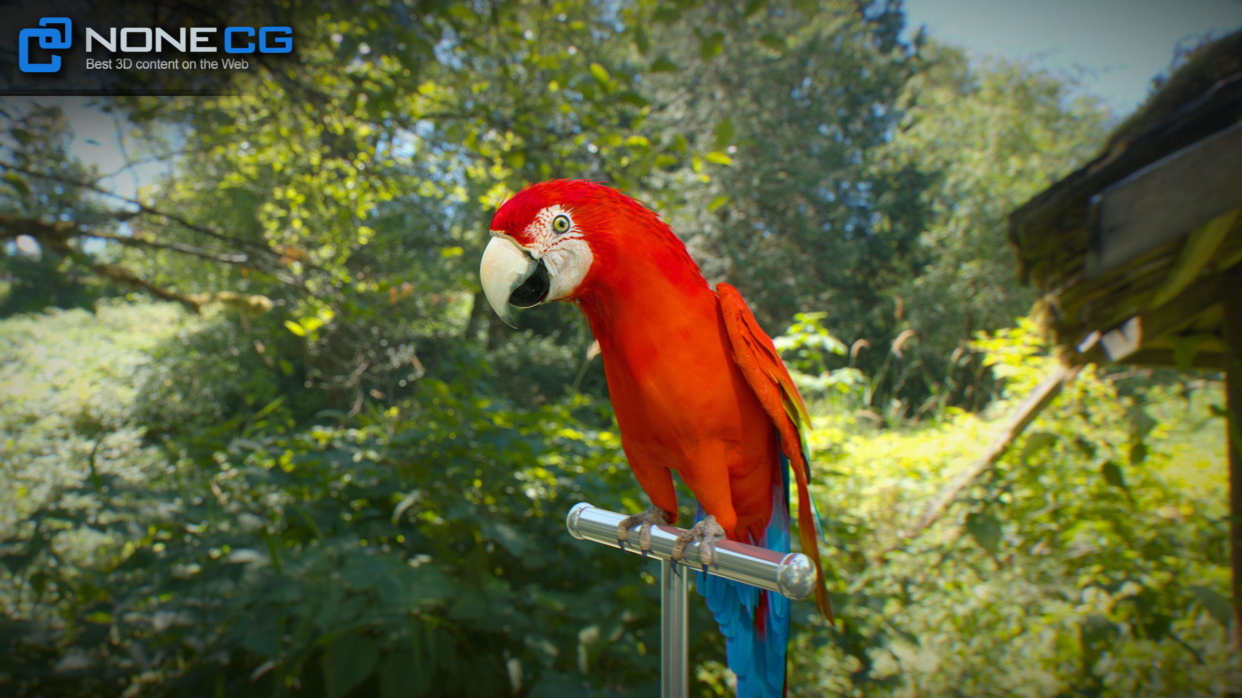 Animated Red Parrot 3D model_23