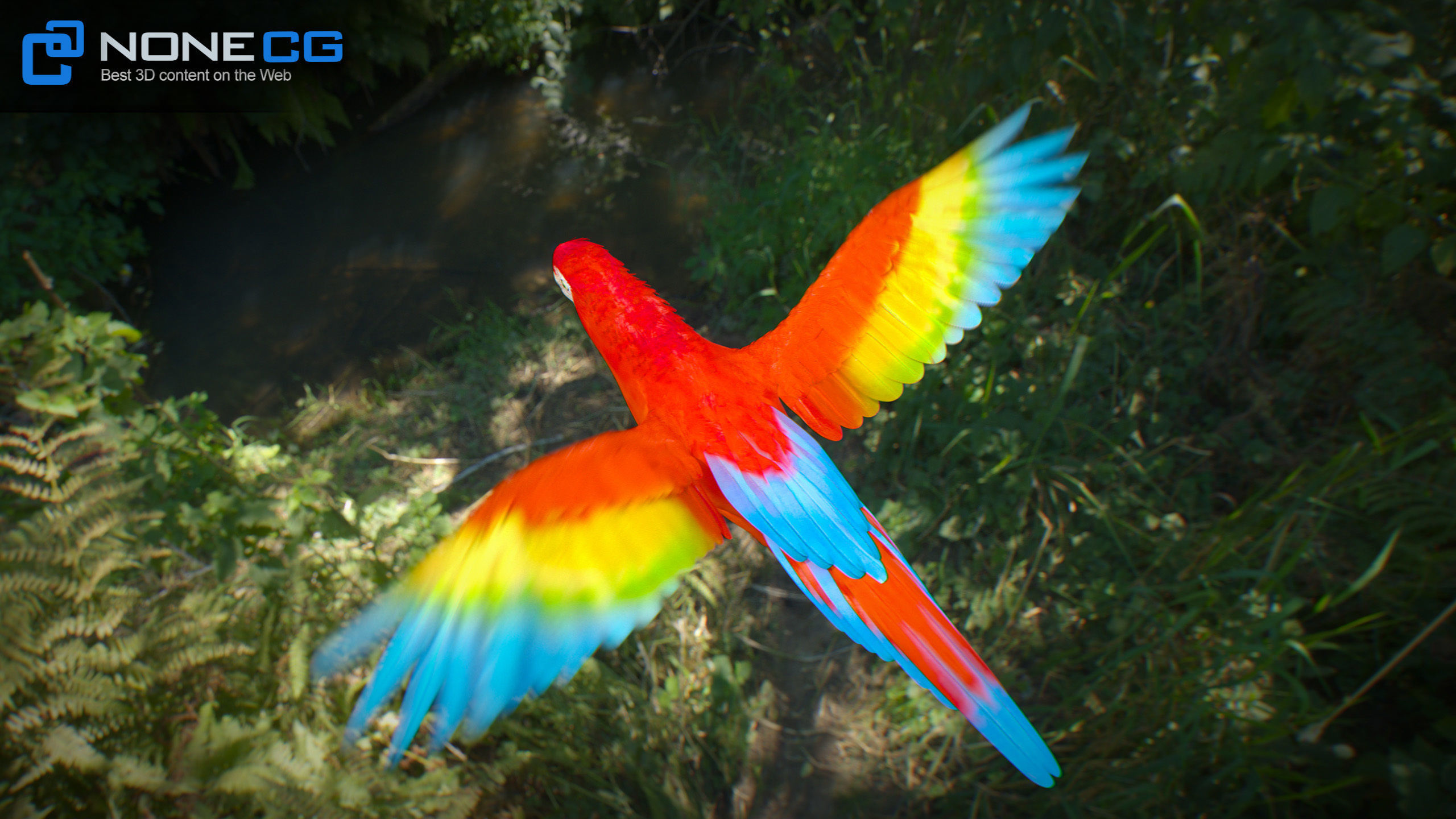 Animated Red Parrot 3D model_18