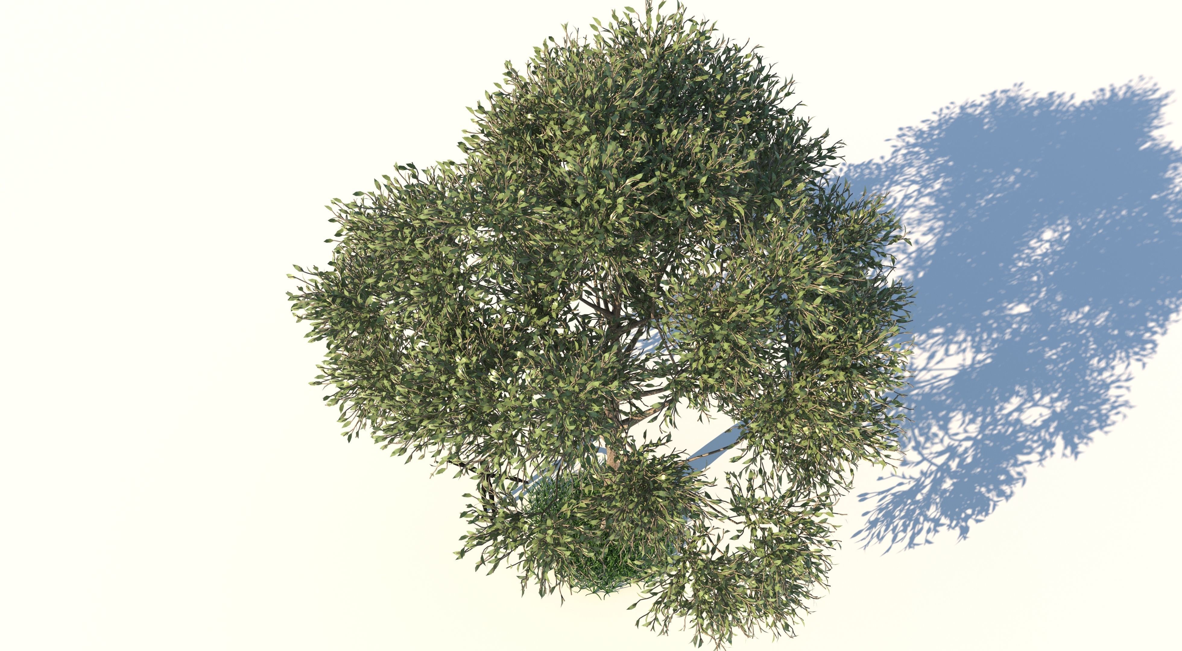 Apple Tree and Grass  3D model_3