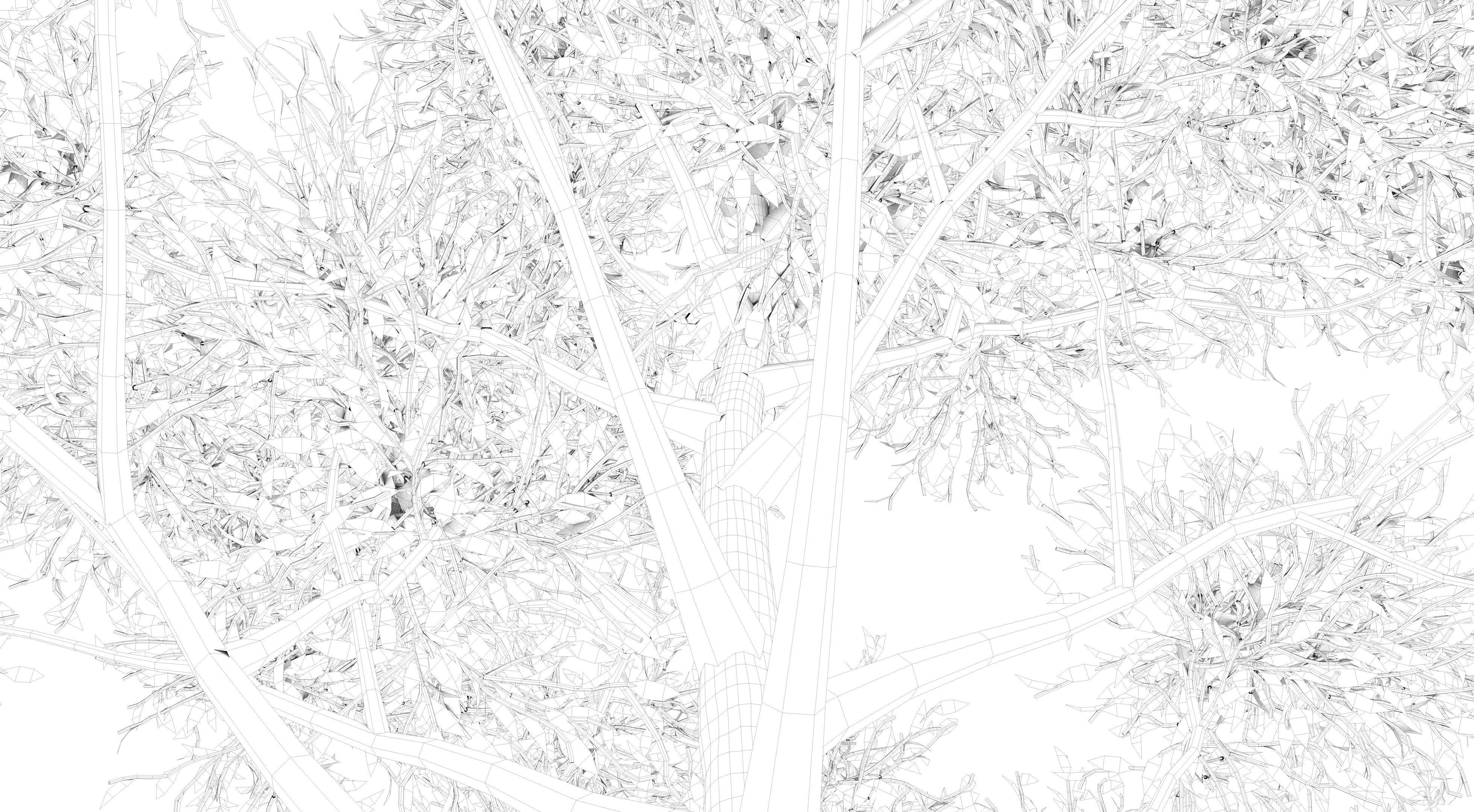 Apple Tree and Grass  3D model_15