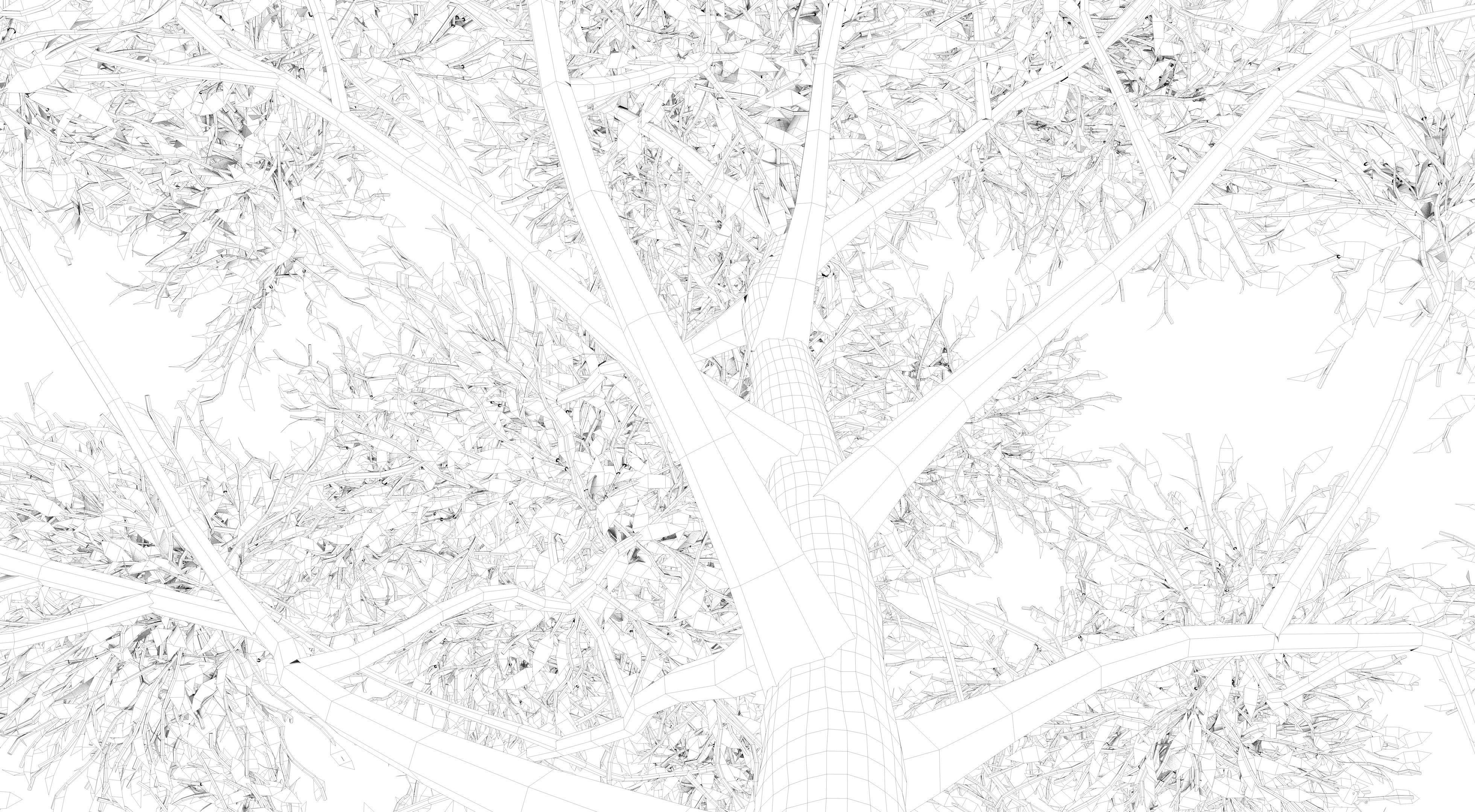 Apple Tree and Grass  3D model_14