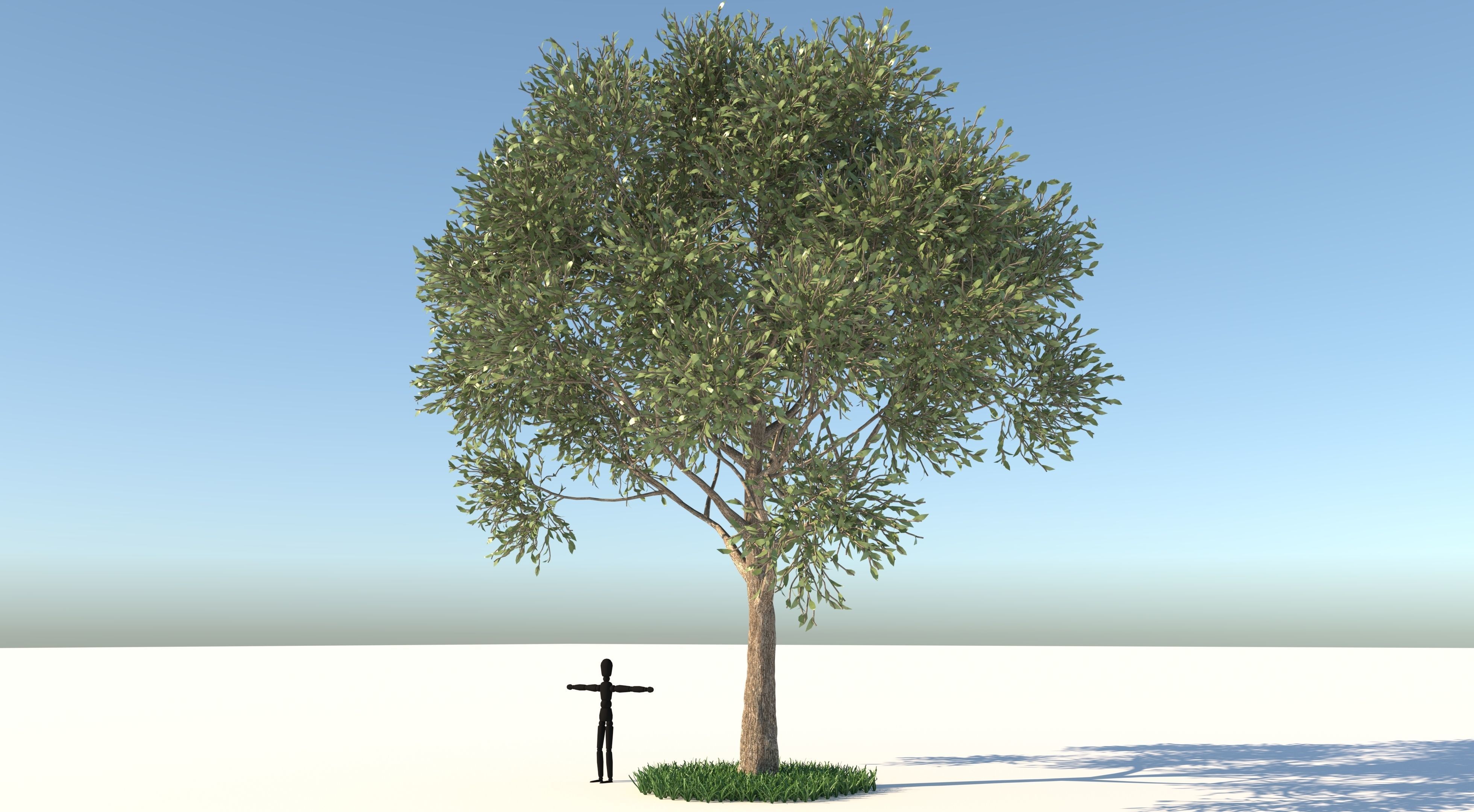 Apple Tree and Grass  3D model_2