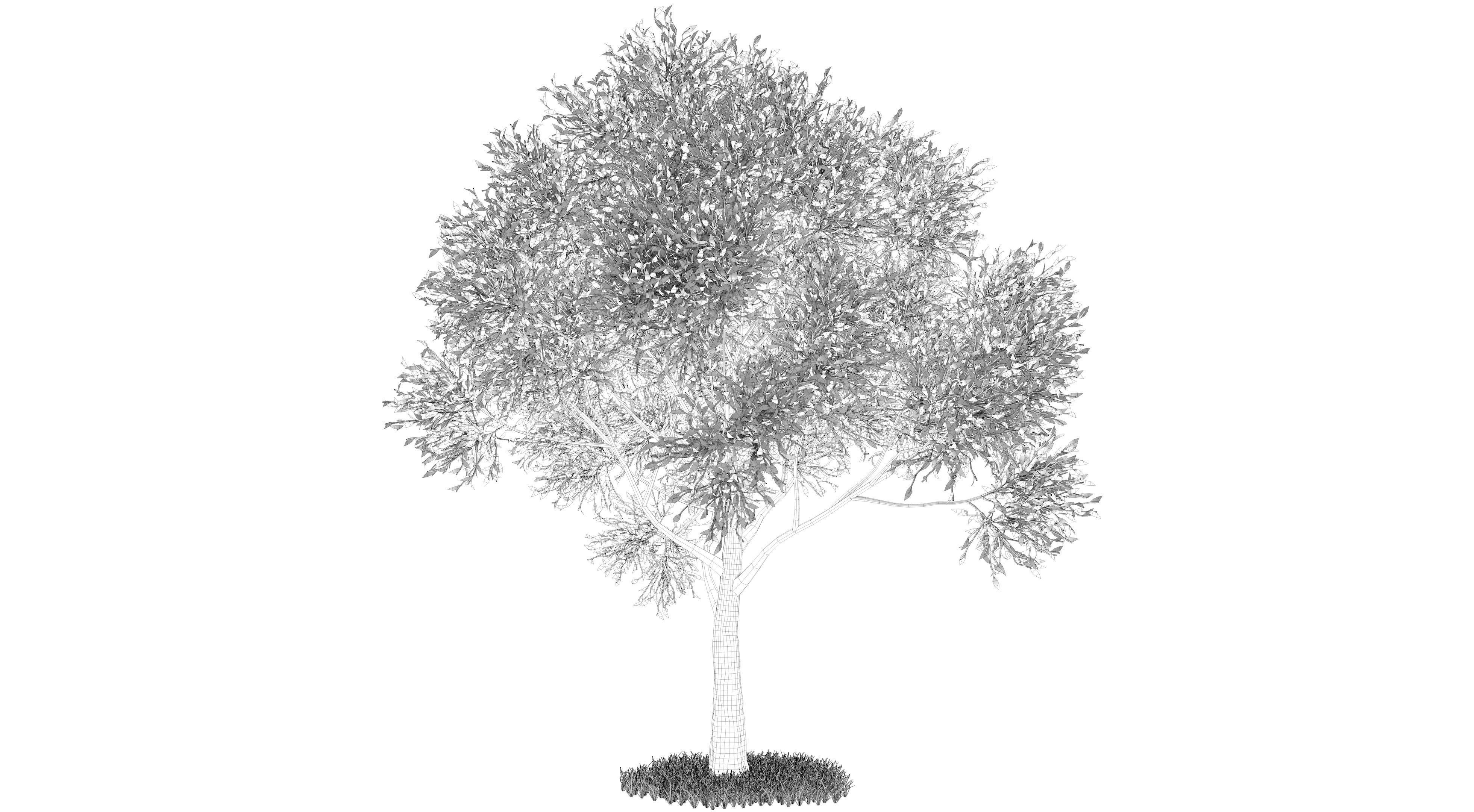 Apple Tree and Grass  3D model_10