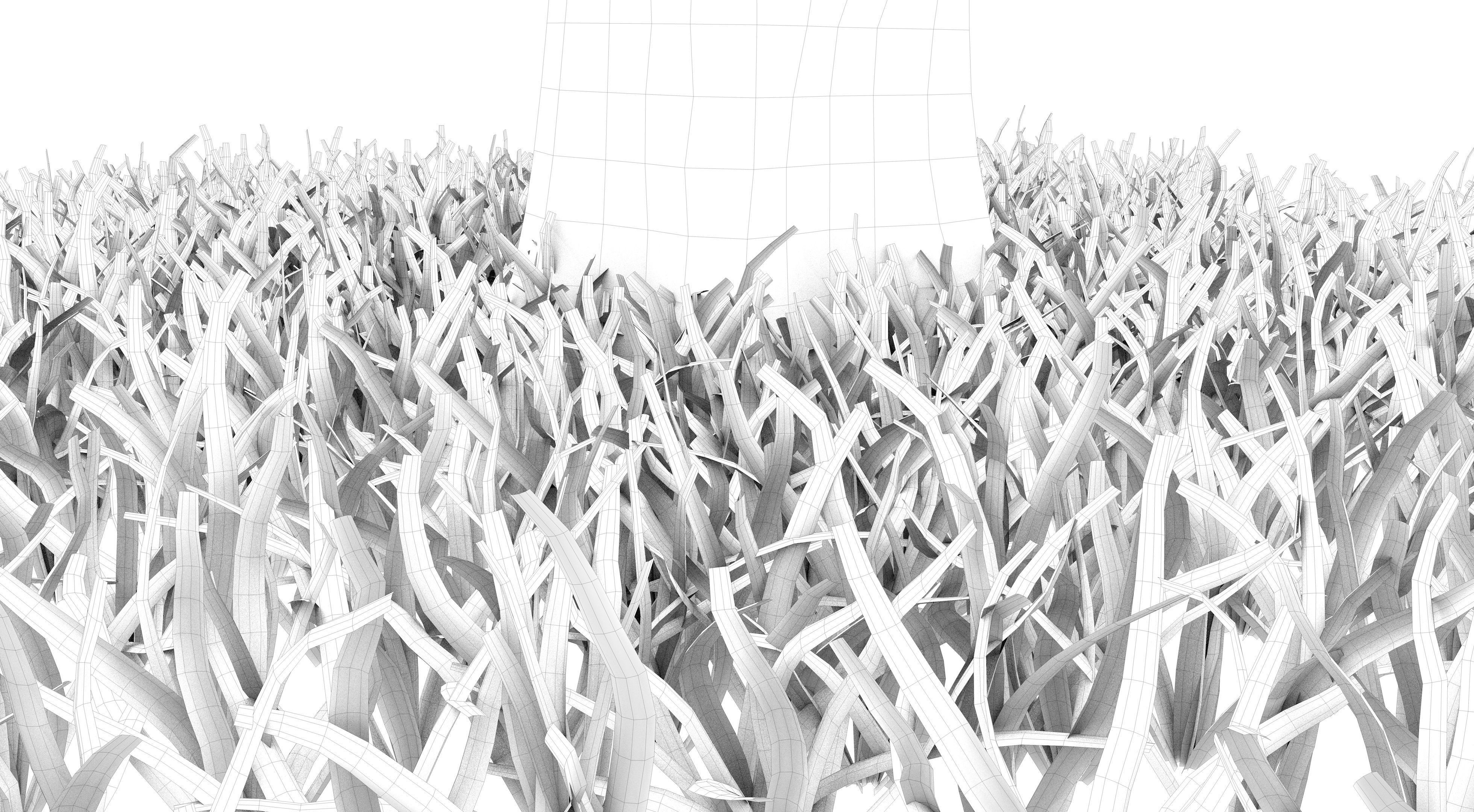 Apple Tree and Grass  3D model_13