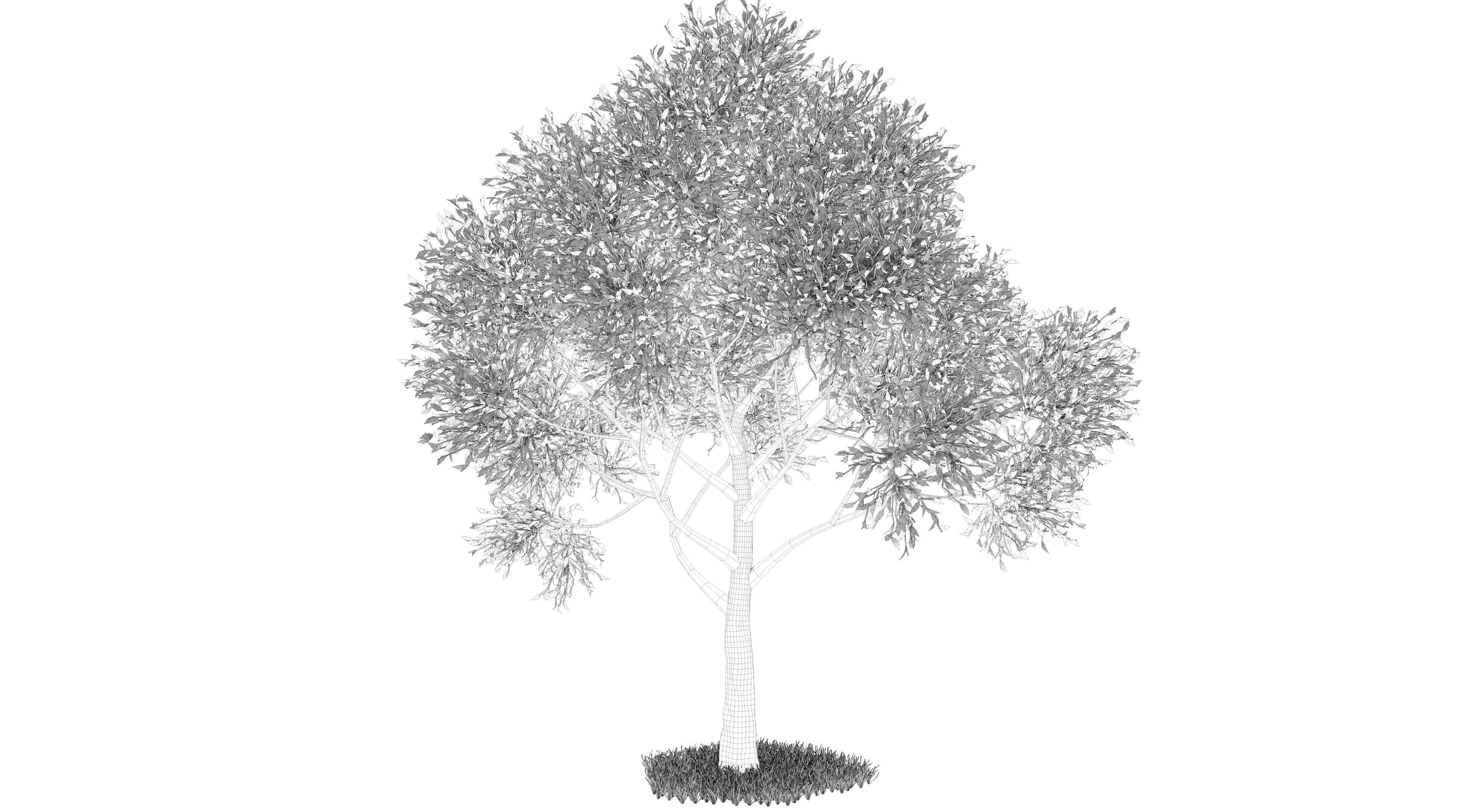 Apple Tree and Grass  3D model_9