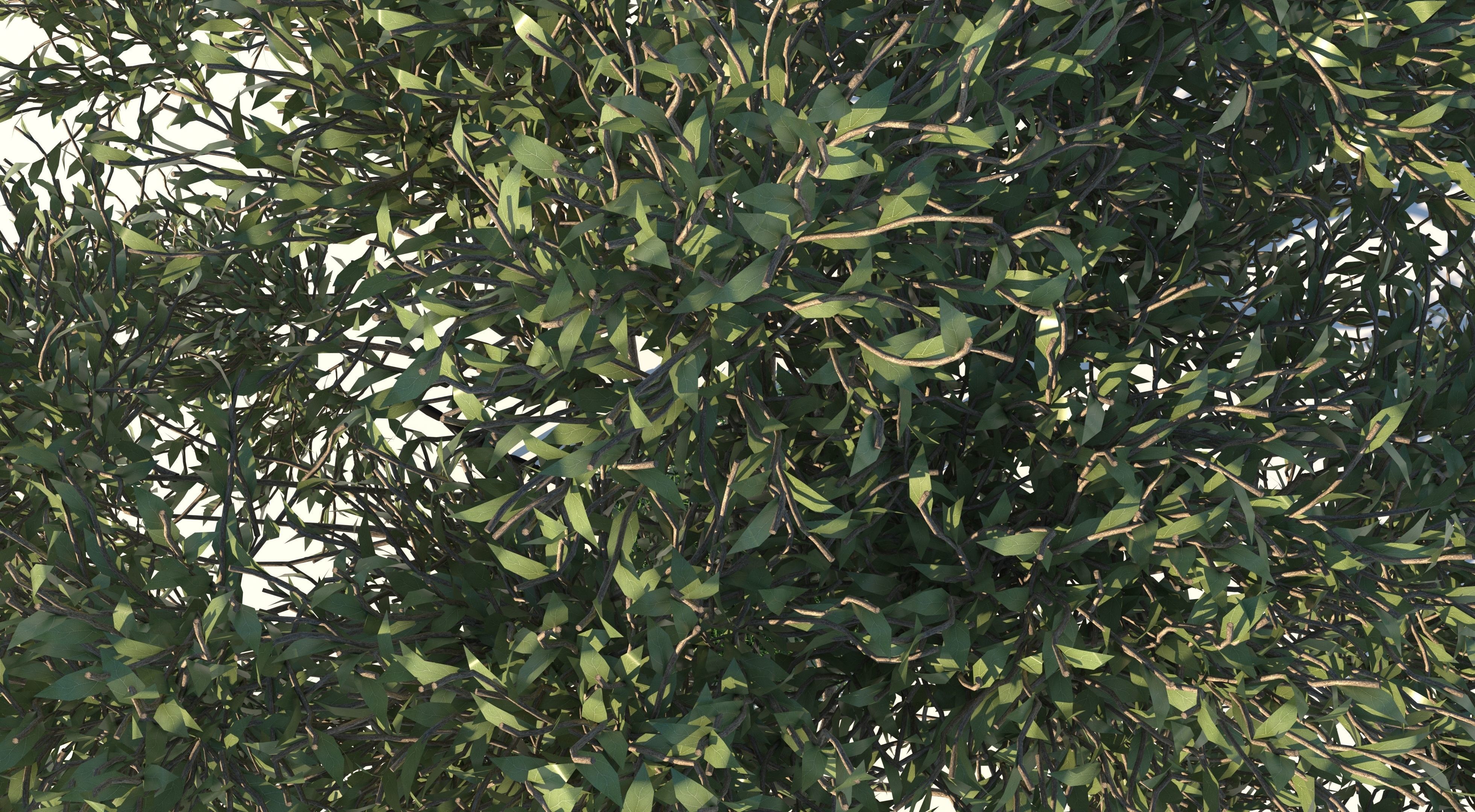 Apple Tree and Grass  3D model_8
