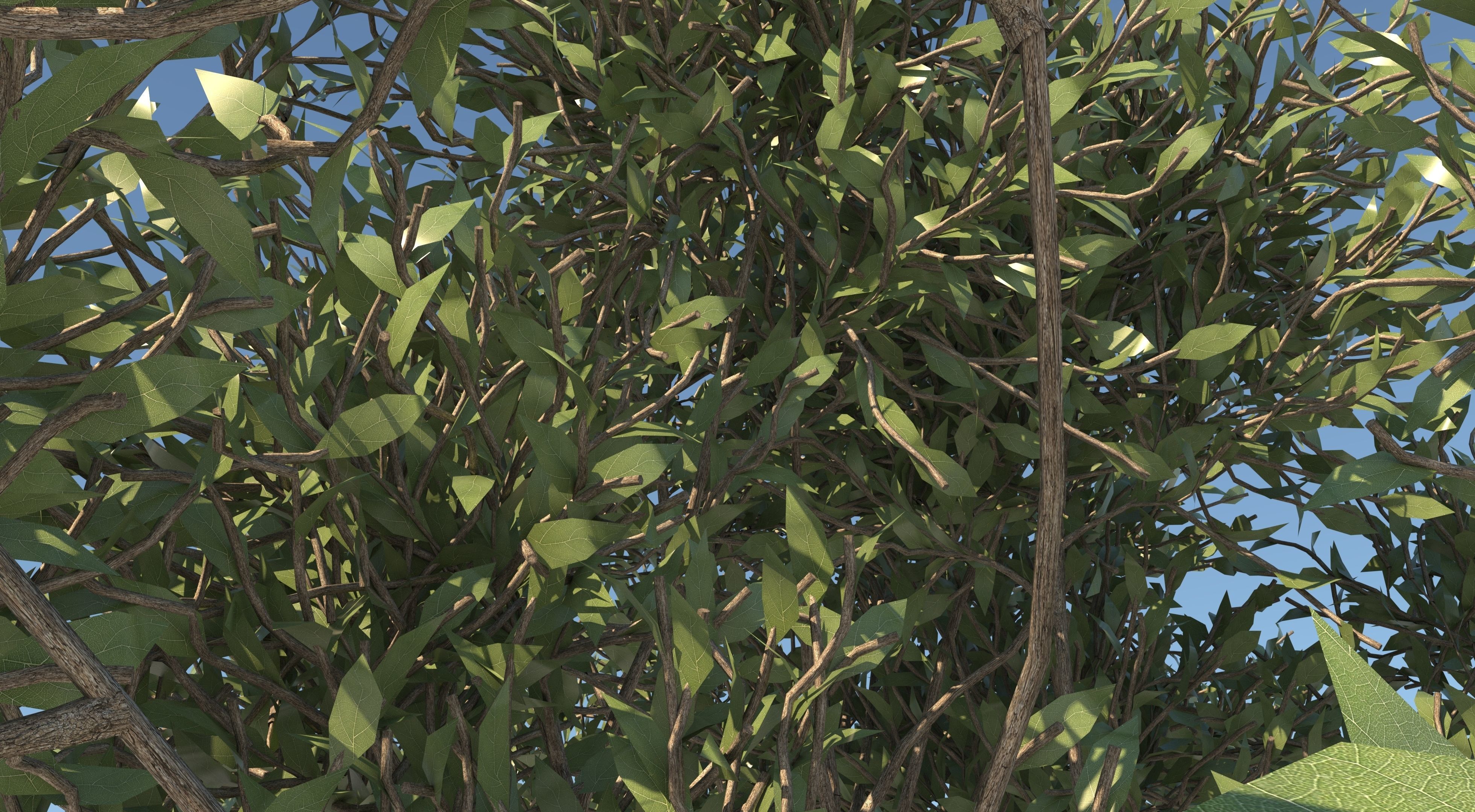 Apple Tree and Grass  3D model_6