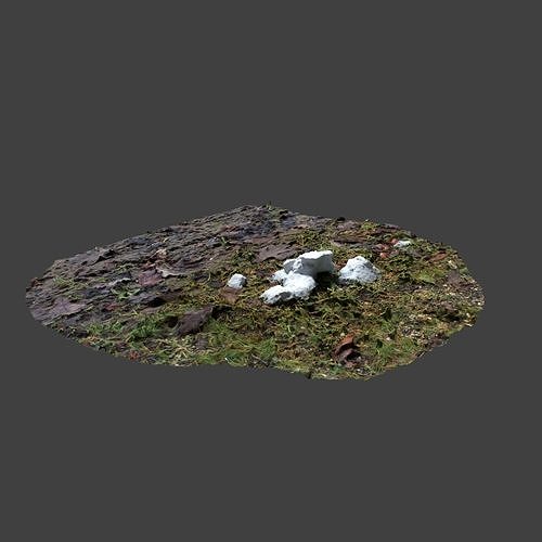 Snow In Field Photoscan 3D model