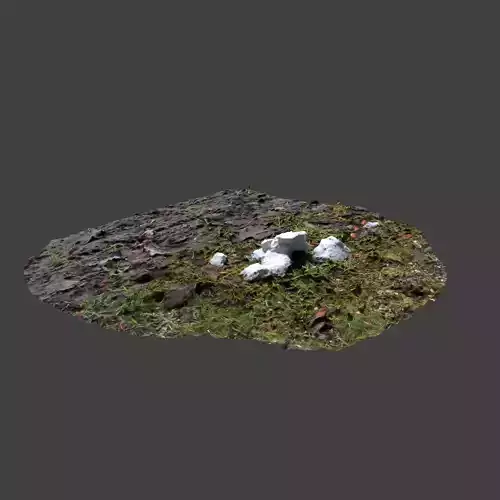 Snow In Field Photoscan