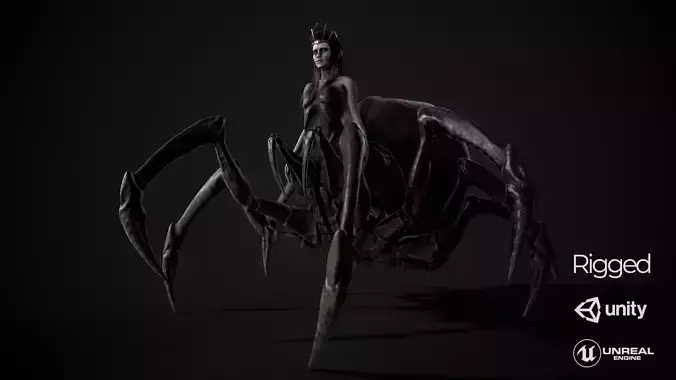 Spider Queen 3D model