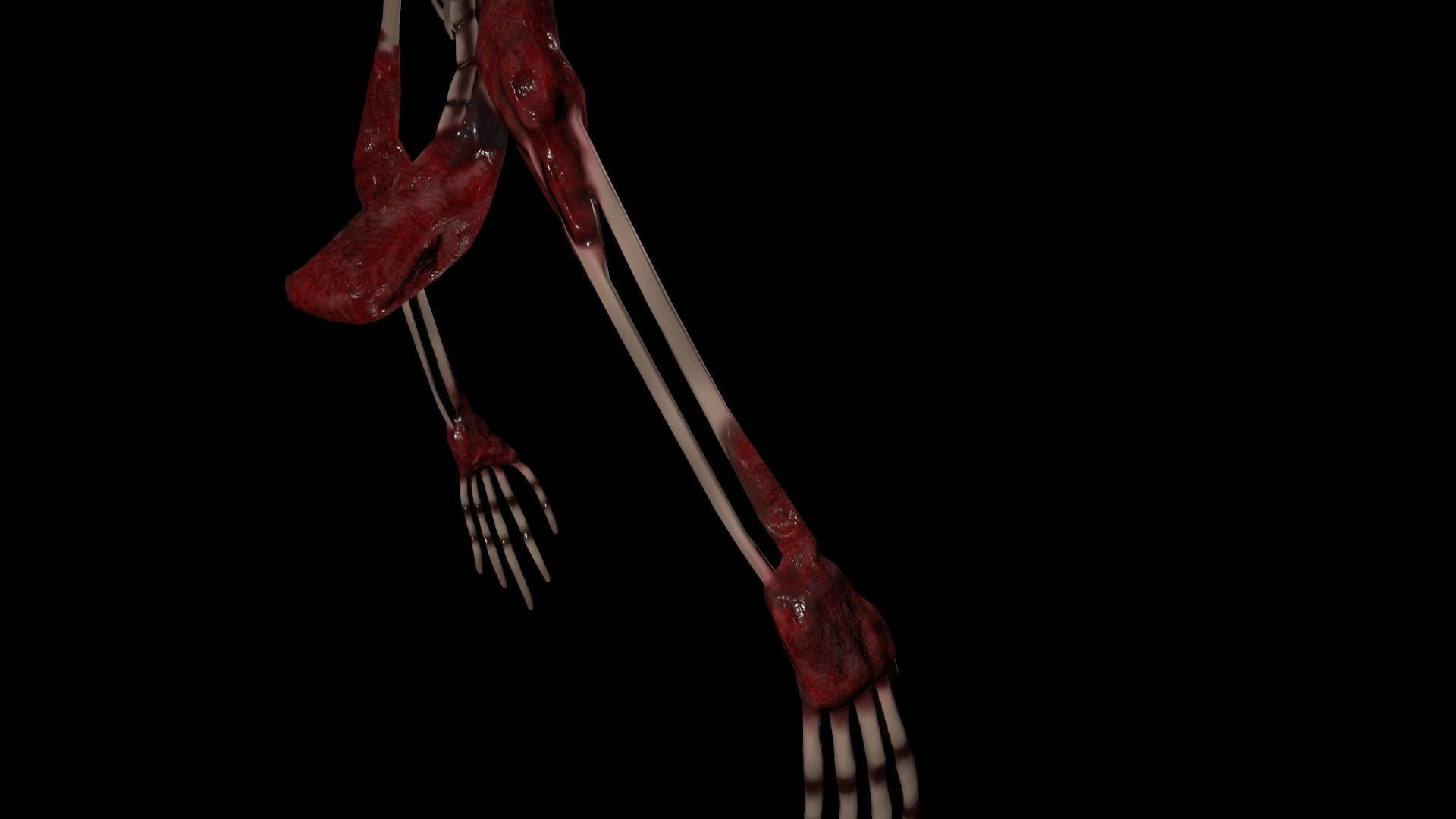 God of roadkill-Trevor Henderson  Low-poly 3D model_26