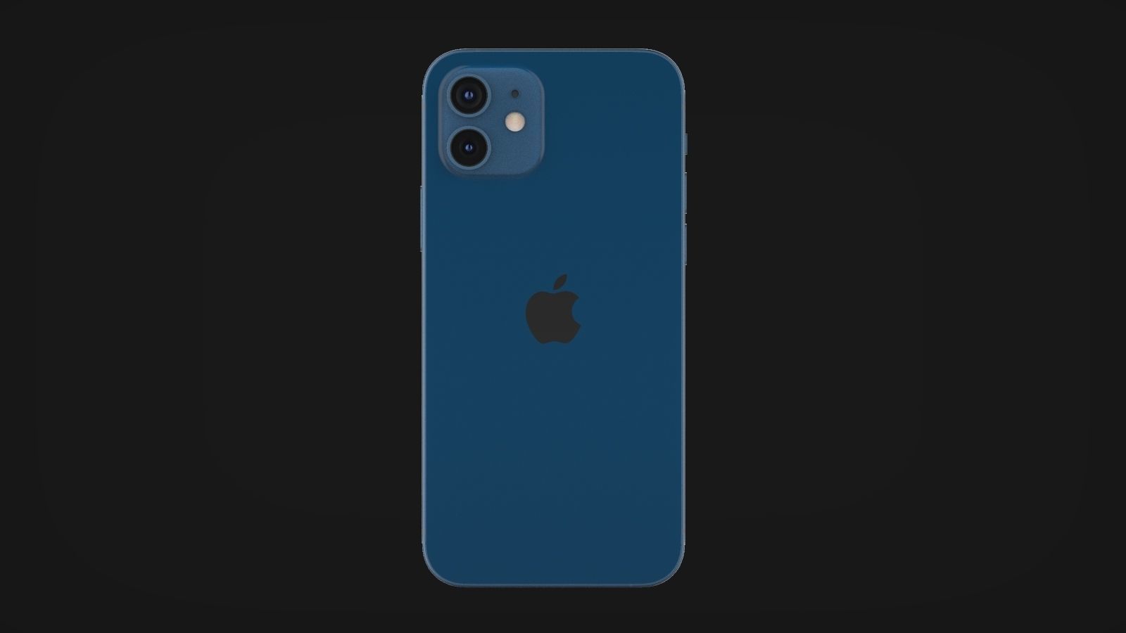 Apple Cases and Models of iPhone 12 All Models Official 3D Model Collection_18