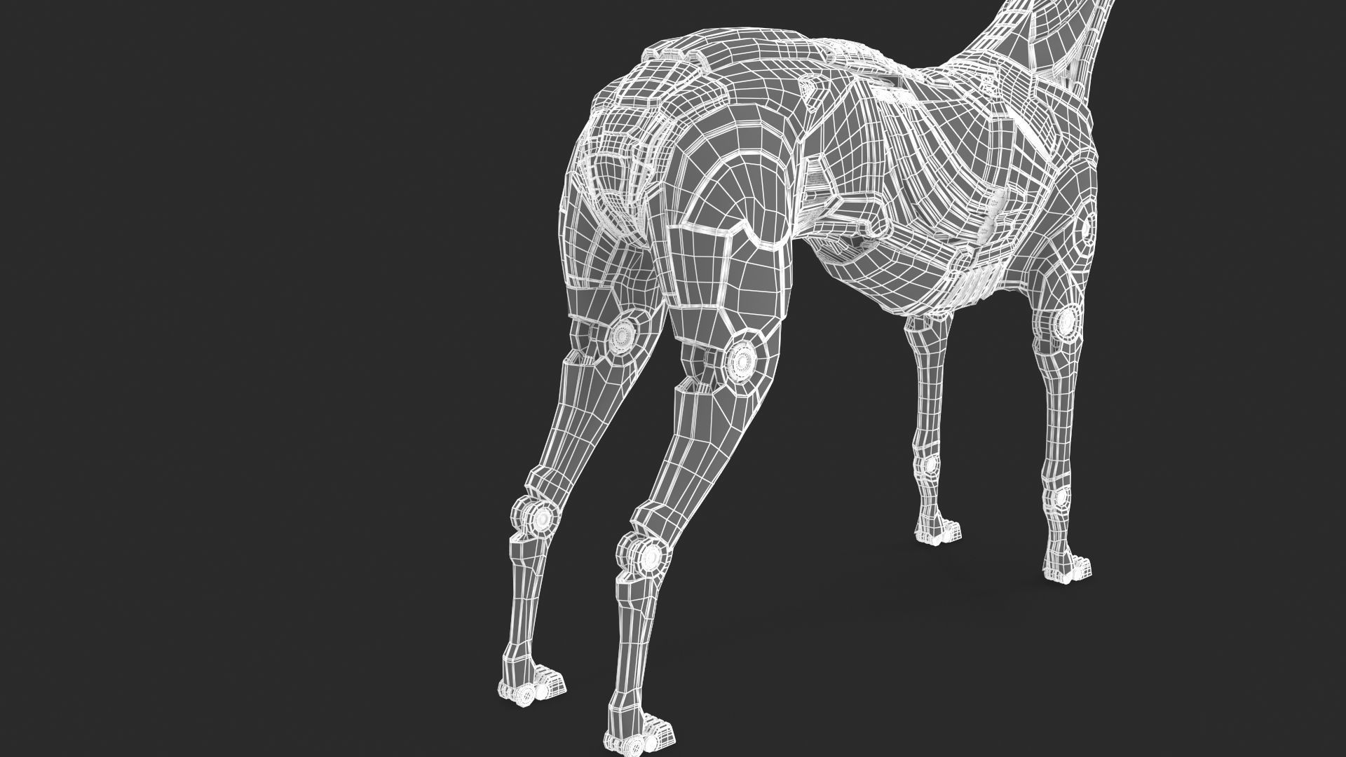 Cyborg dog 3D model_27