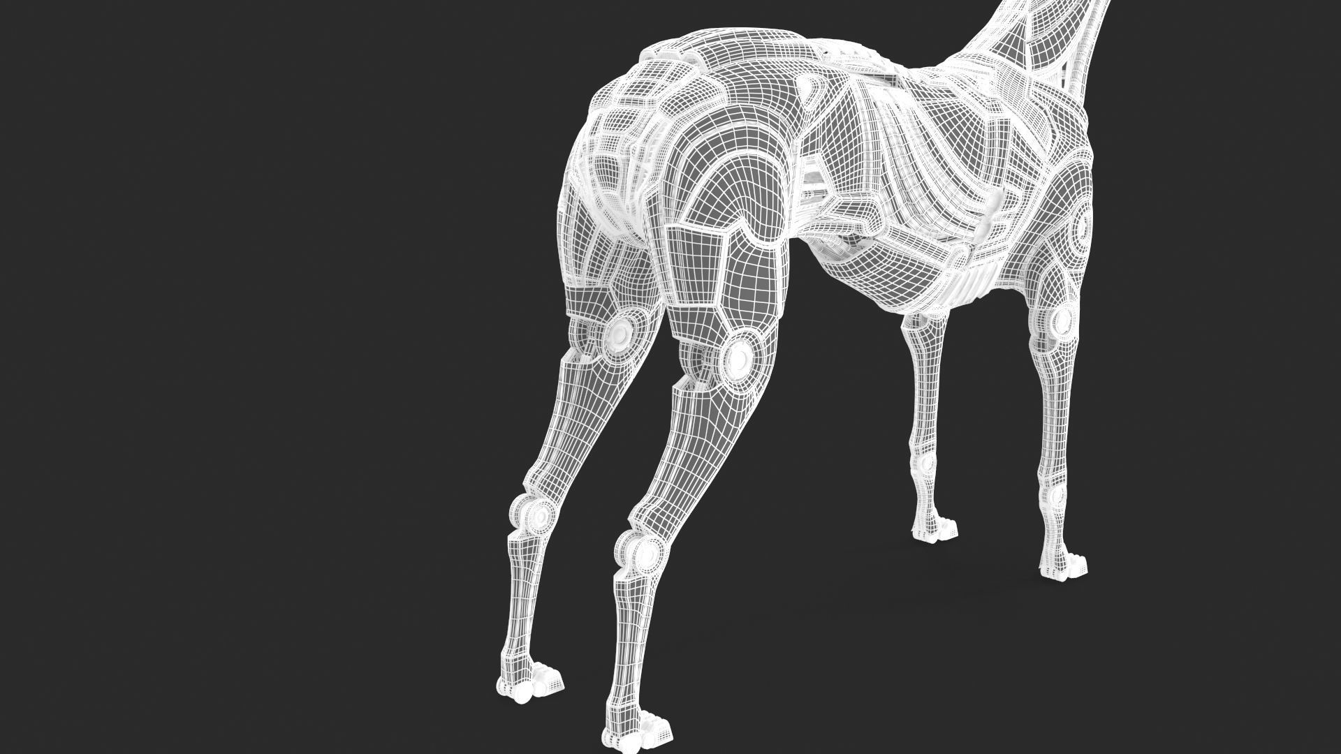 Cyborg dog 3D model_28