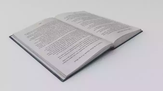 Open Book 21 Low-poly 3D model