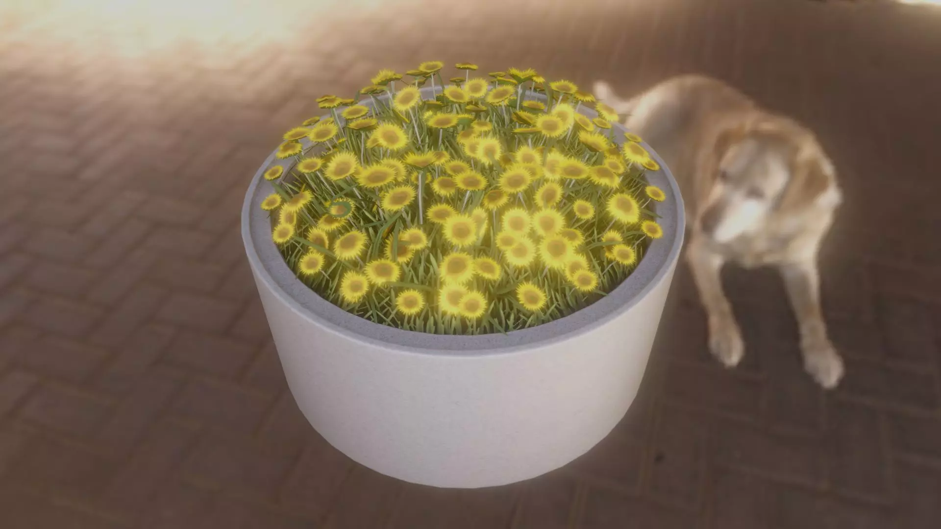 Concrete Pipe Pot 1500mm with Small Sunflowers Version 2 Low-poly 3D model_0