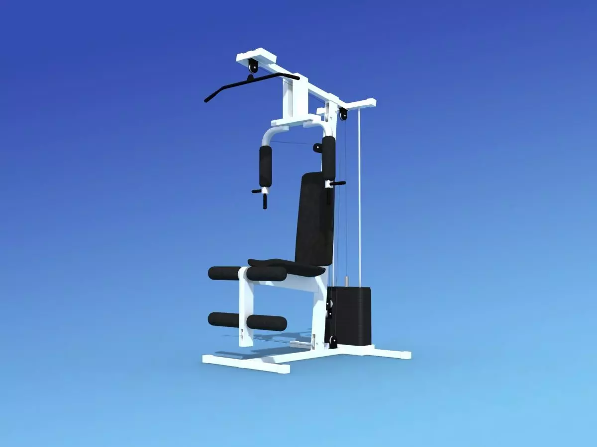 Weight Machine 3D model