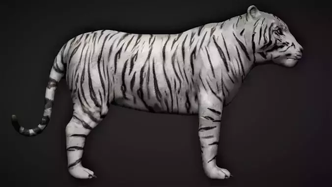 White Tiger 3D model