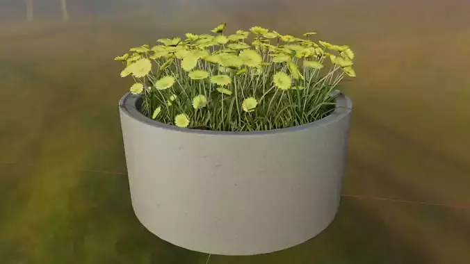 Concrete Pot 1500mm with Yellow Flowers Version 1