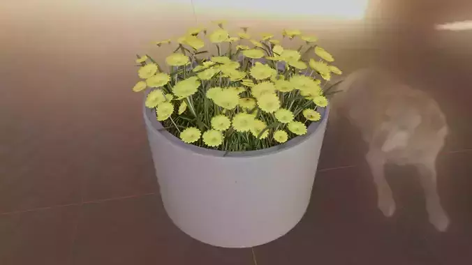 Concrete Pot 1000mm with Yellow Flowers Version 2