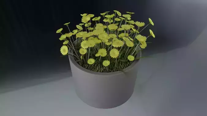 Concrete Pot 1000mm with Yellow Flowers Version 1