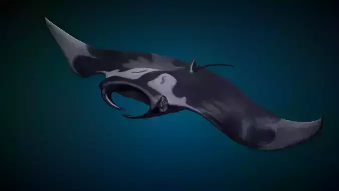 Manta Ray Animated 3D model
