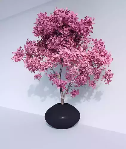 Sakura Flowers Tree 3d Model 3D model