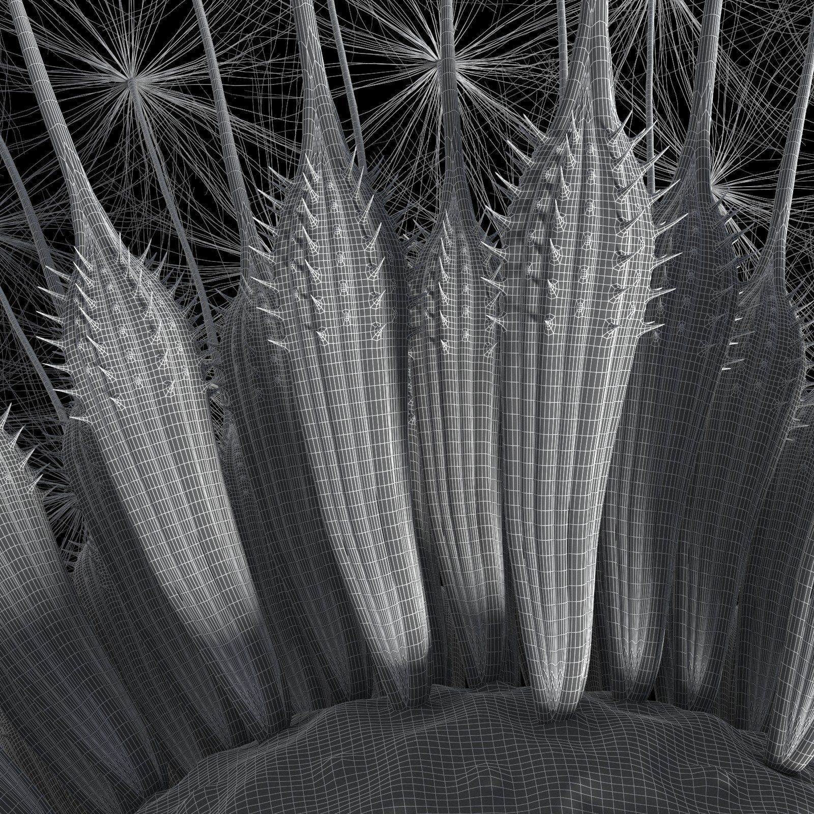 Dandelion Photoreal 3D model_21