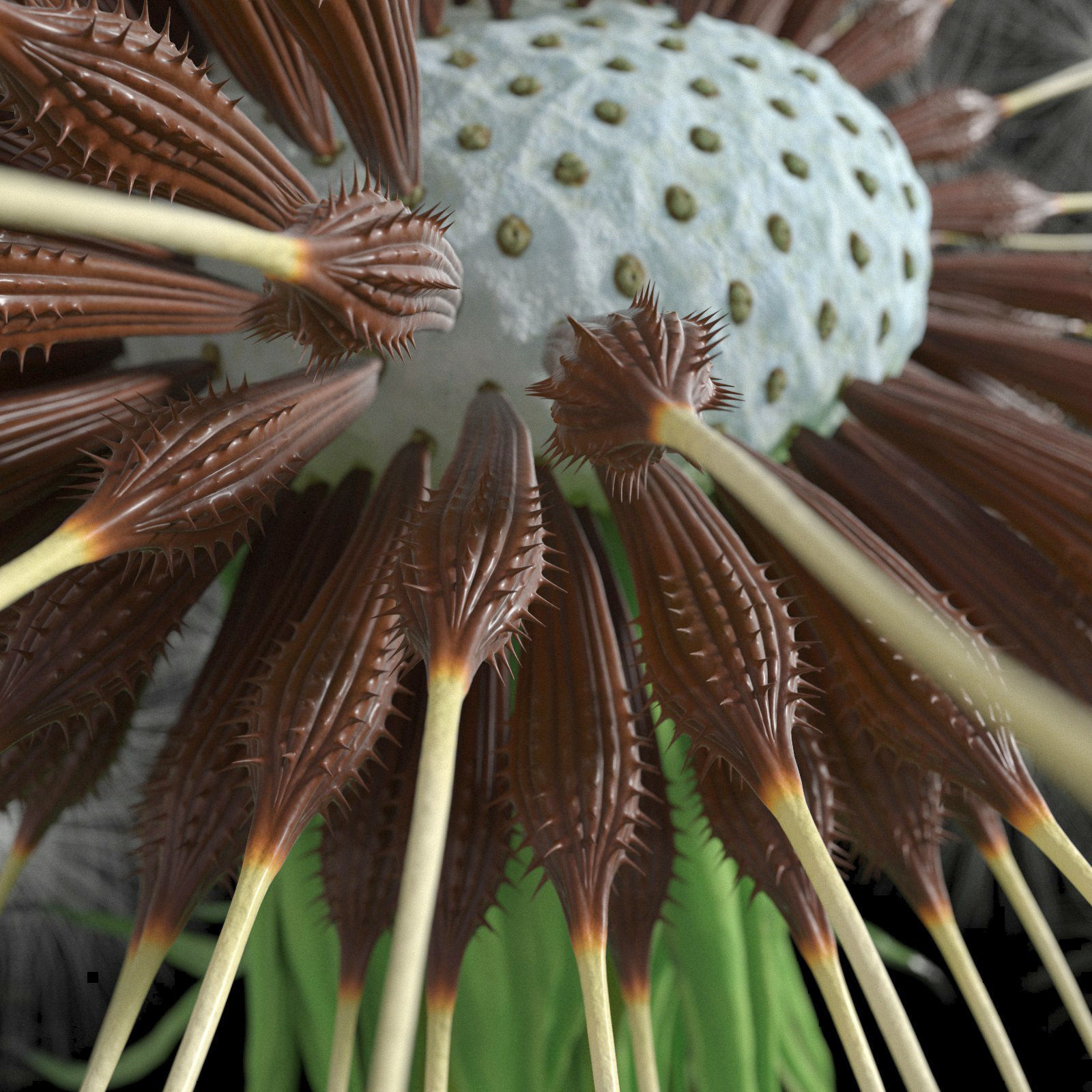 Dandelion Photoreal 3D model_10