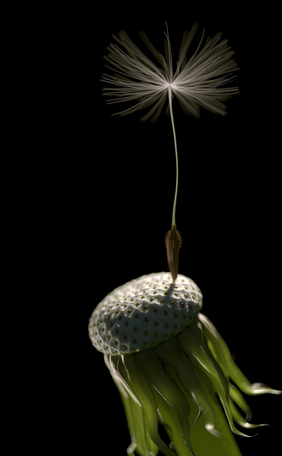 Dandelion Photoreal 3D model_1