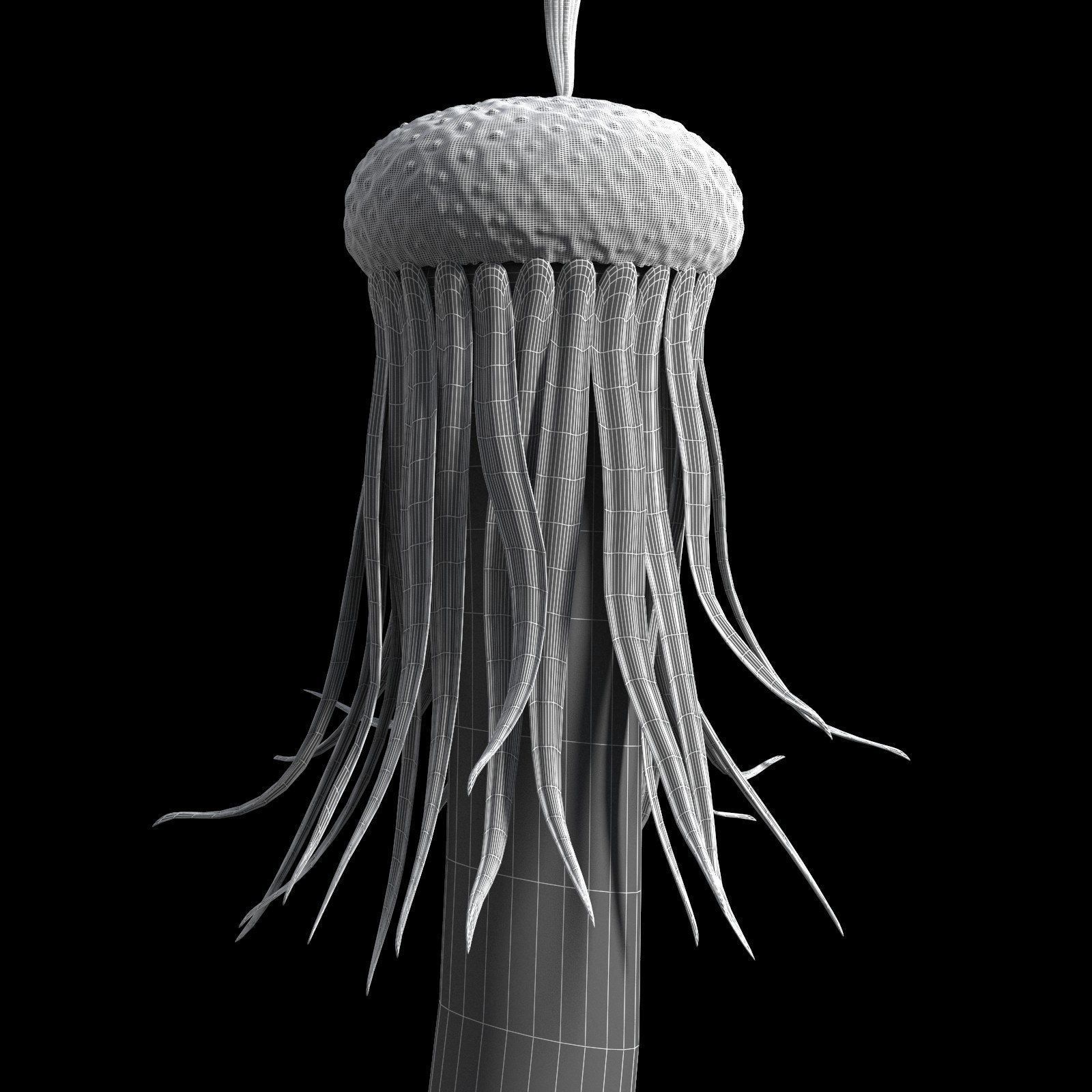 Dandelion Photoreal 3D model_16