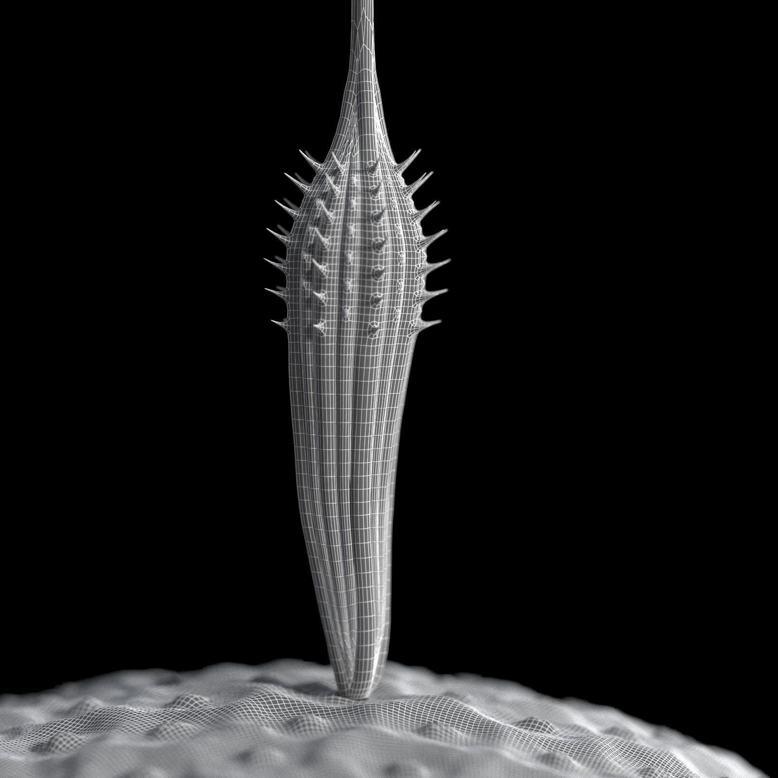 Dandelion Photoreal 3D model_14